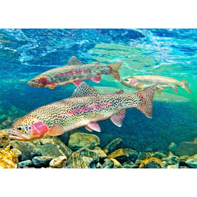 Rainbow Trout - 3D Lenticular Postcard Greeting Card - NEW Postcard 3dstereo 