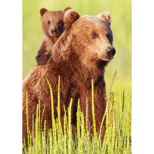 Brown bear and cub - 3D Lenticular Postcard Greeting Card Postcard 3dstereo 