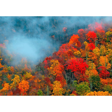 Appalachian Mountains - 3D Action Lenticular Postcard Greeting Card Postcard 3dstereo 