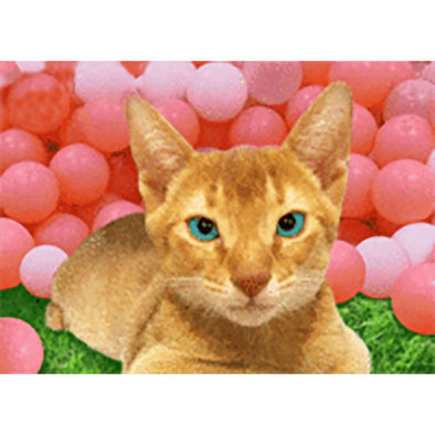 Smiling Cat- 3D Lenticular Postcard Greeting Card 3dstereo 