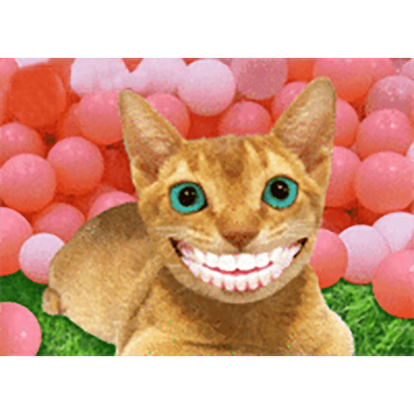 Smiling Cat- 3D Lenticular Postcard Greeting Card 3dstereo 