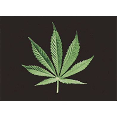 Marijuana - From Leaf to Joint - 3D Lenticular Postcard Greeting Card 3dstereo 