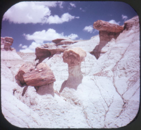 4 ANDREW - Petrified Forest National Park - View-Master 3 Reel Packet - 1960s views - vintage - A365-S6A Packet 3dstereo 
