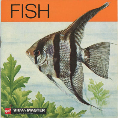 4 ANDREW - Fish Life - Ichthyology - View-Master 3 Reel Packet - 1970 - vintage - B679E-BG3 Packet 3dstereo 