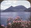 4 ANDREW - Western Highlands - Scotland - View Master 3 Reel Packet - vintage - C325E-BS6 Packet 3dstereo 
