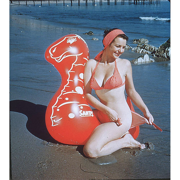 Stereo Pin-Up Slide - 1950s - 5P Realist Format -Dark Haired Beauty with Sandy - vintage 3Dstereo.com 