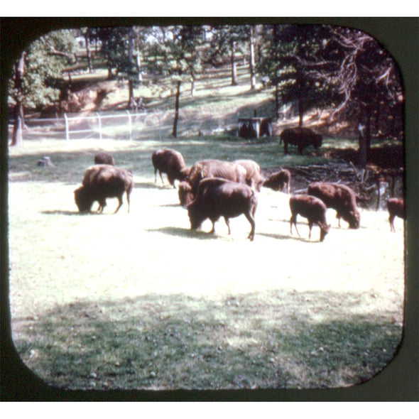 3 ANDREW - Anheuser-Bush "Making Friends is our Business" - 5 View-Master Set from Boxed Set - vintage Reels 3dstereo 