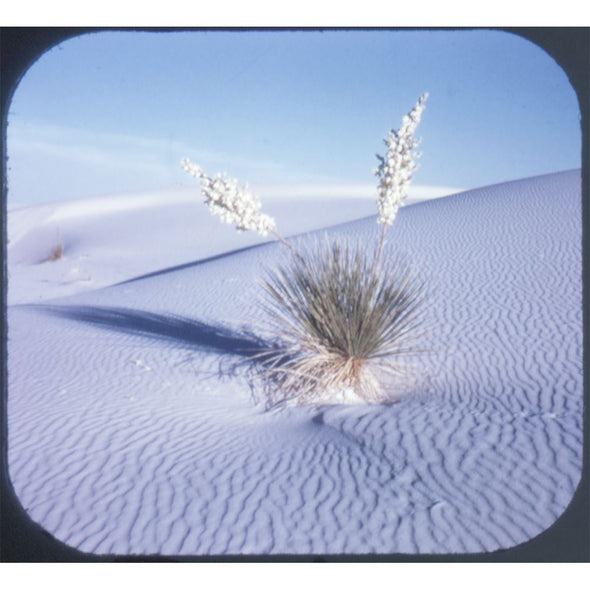 3 ANDREW - White Sands National Monument - View-Master Special On-Location Reel - vintage - 287 Reels 3dstereo 