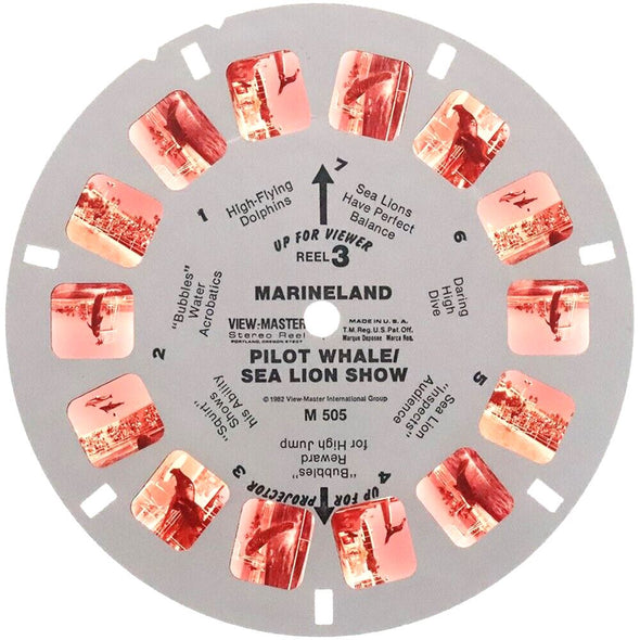 3 ANDREW - Marineland - Whale & Sea Lion Show - View-Master Special On-Location Reel - 1982 - vintage - M505 Reels 3dstereo 