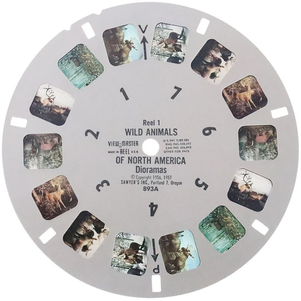 3 ANDREW - Wild Animals of North America - View-Master Experimental Set - 1957 - vintage Reels 3dstereo 