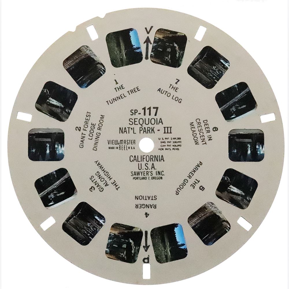 Carta Da Parati Sequoie Giganti Nel Sequoia National Park, California - Foto 13