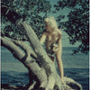 Pinup Nude Stereo Slide - Realist - Blonde in Tree with Frog - Visuemont 3Dstereo.com 
