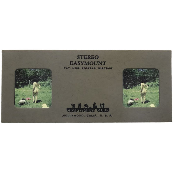 PinUp Nude Stereo Slide - Back Pose in the Grass - Cardboard Mount - 1950s - vintage 3Dstereo.com 