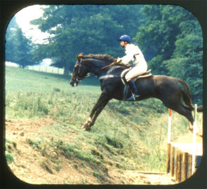 4 ANDREW - Horses - View-Master Test Reel - 1984 - vintage - CR3674B Reels 3dstereo 