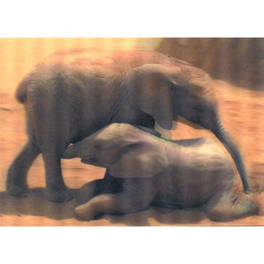 Elephant Babies - 3D Lenticular Postcard Greeting Card Post Cards 3dstereo 