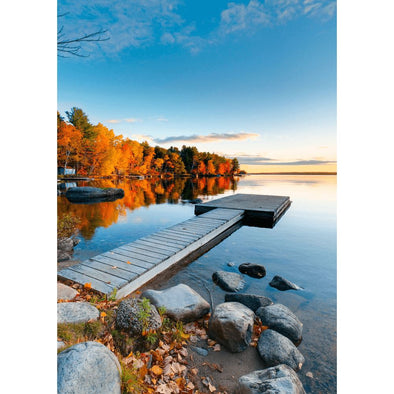 Fall At Baxter State Park, Maine - 3D Lenticular Postcard Greeting Card Postcard 3dstereo 