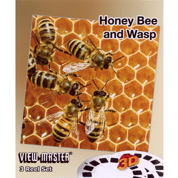 Honey Bee and Wasp - View-Master 3 Reel Set - (WKT-391) WKT 3dstereo 